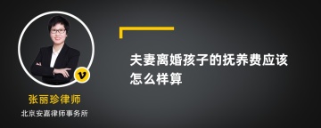 夫妻离婚孩子的抚养费应该怎么样算