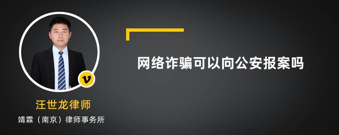 网络诈骗可以向公安报案吗