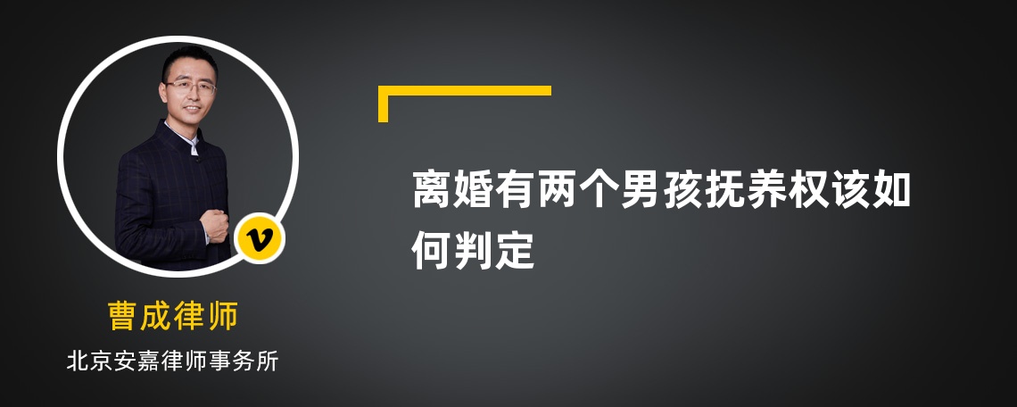 离婚有两个男孩抚养权该如何判定