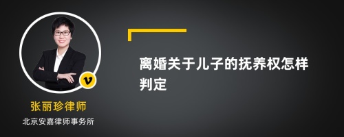 离婚关于儿子的抚养权怎样判定