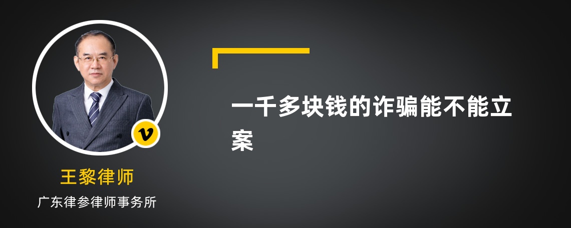 一千多块钱的诈骗能不能立案