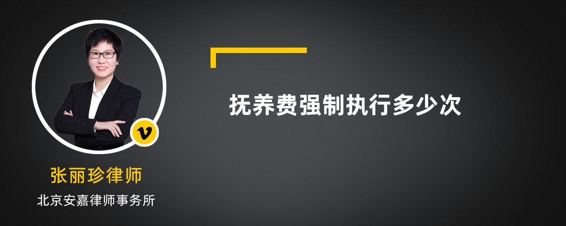 抚养费强制执行多少次