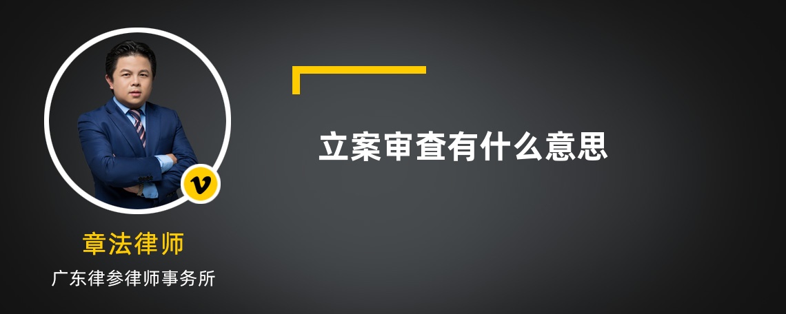 立案审査有什么意思