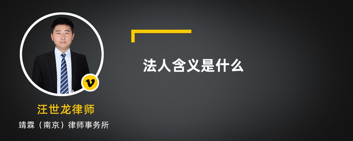 法人含义是什么