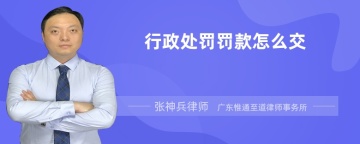 行政处罚罚款怎么交