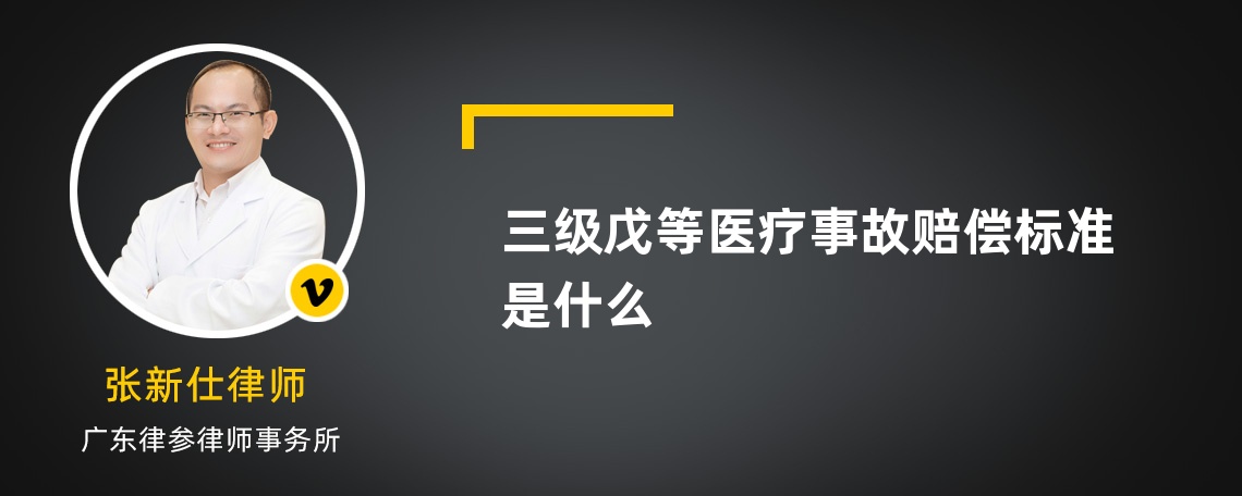 三级戊等医疗事故赔偿标准是什么