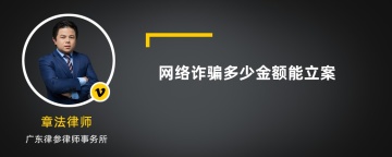 网络诈骗多少金额能立案