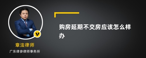 购房延期不交房应该怎么样办