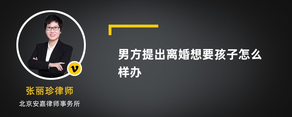 男方提出离婚想要孩子怎么样办