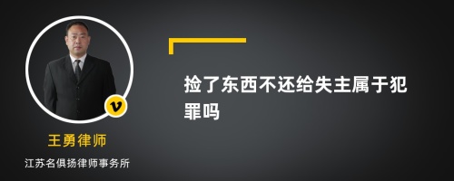 捡了东西不还给失主属于犯罪吗