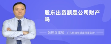 股东出资额是公司财产吗