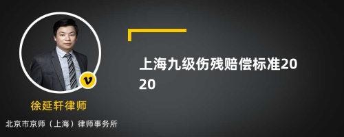 上海九级伤残赔偿标准2020