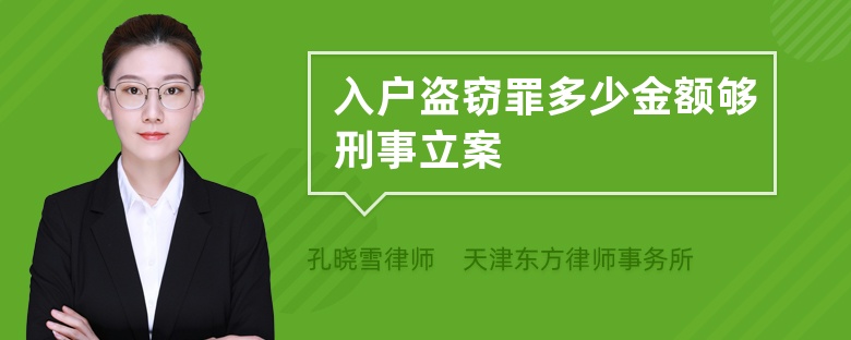 入户盗窃罪多少金额够刑事立案