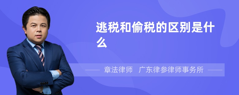 逃税和偷税的区别是什么