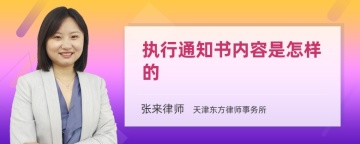 执行通知书内容是怎样的