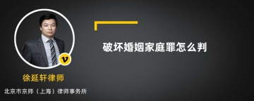 破坏婚姻家庭罪怎么判