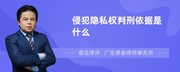 侵犯隐私权判刑依据是什么