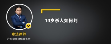 14岁杀人如何判