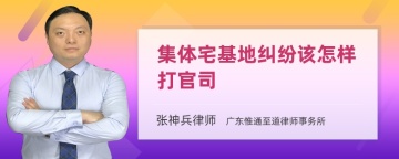 集体宅基地纠纷该怎样打官司