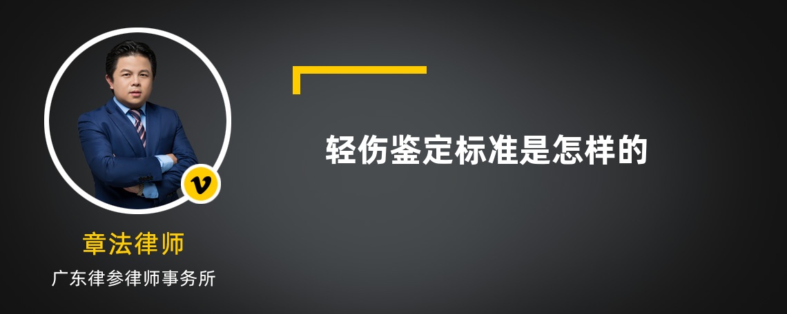 轻伤鉴定标准是怎样的