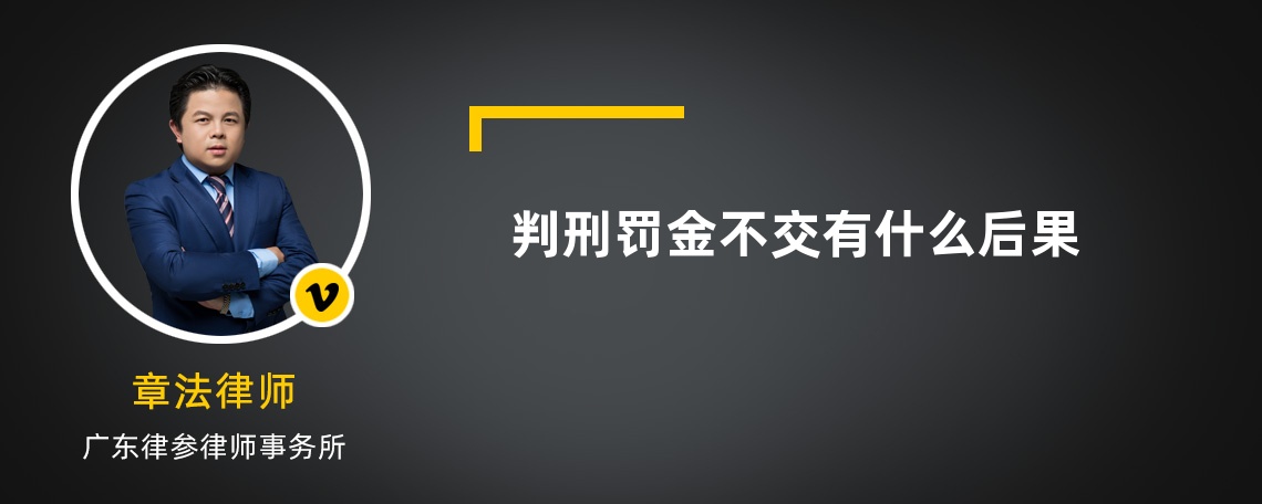 判刑罚金不交有什么后果