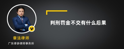 判刑罚金不交有什么后果