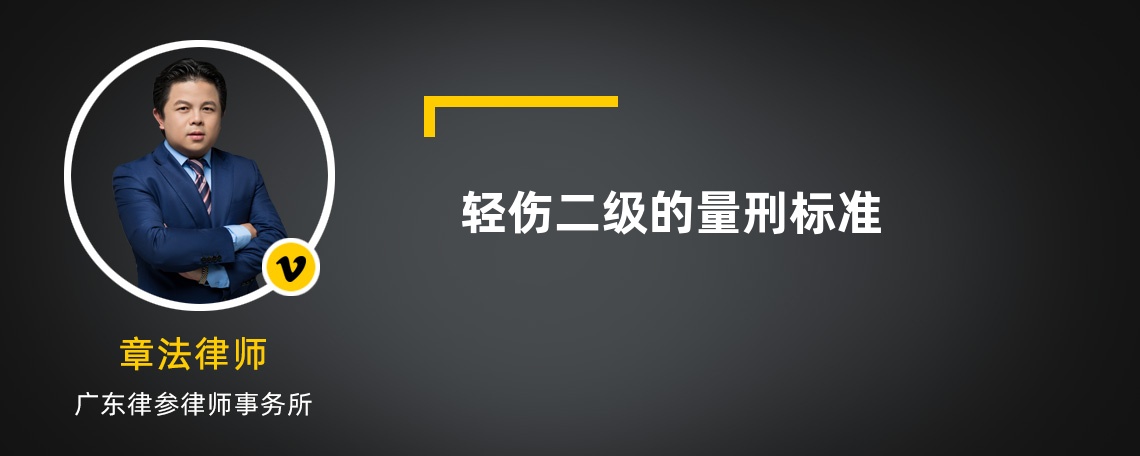 轻伤二级的量刑标准