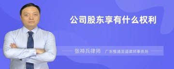 公司股东享有什么权利