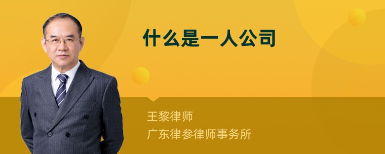 什么是一人公司