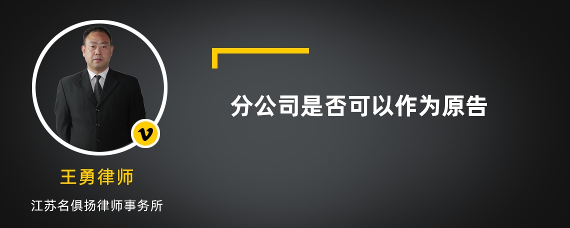 分公司是否可以作为原告