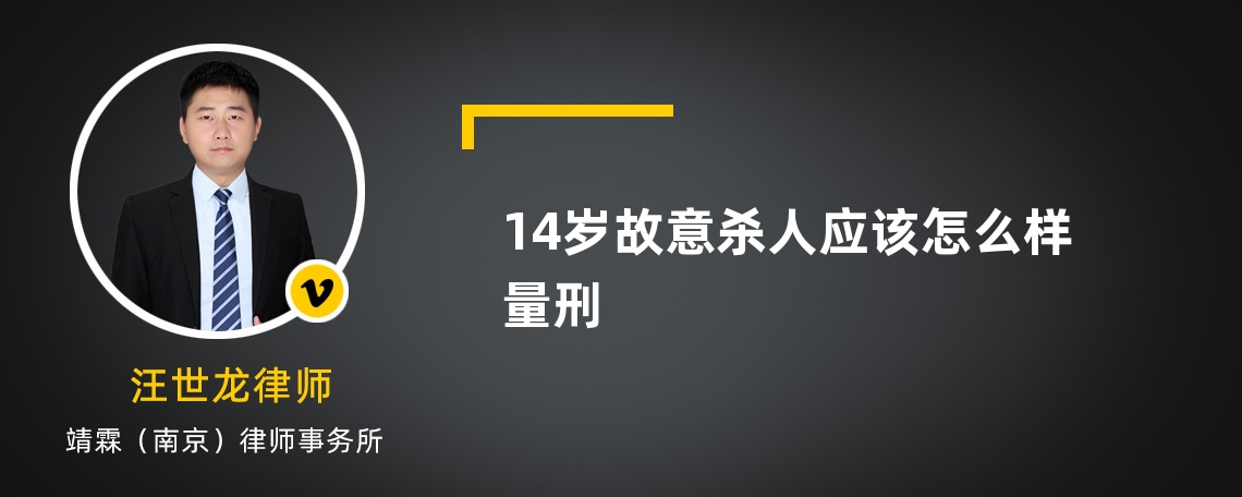 14岁故意杀人应该怎么样量刑