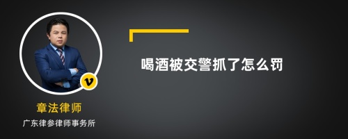 喝酒被交警抓了怎么罚