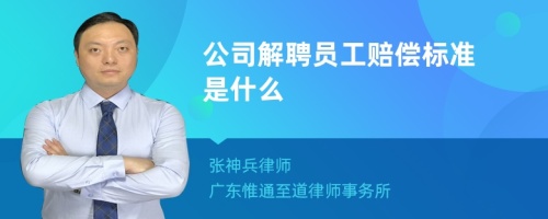 公司解聘员工赔偿标准是什么