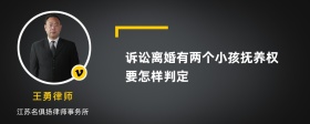 诉讼离婚有两个小孩抚养权要怎样判定