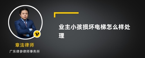 业主小孩损坏电梯怎么样处理