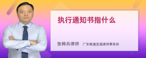 执行通知书指什么