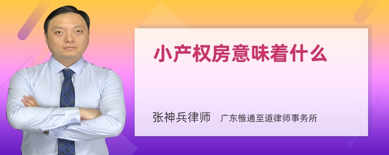 小产权房意味着什么