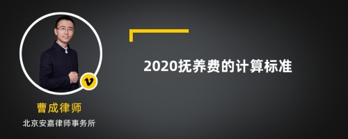 2020抚养费的计算标准