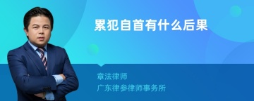 累犯自首有什么后果