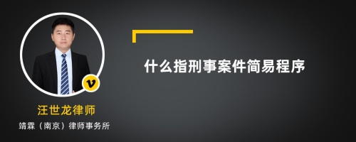 什么指刑事案件简易程序