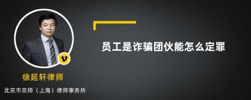 员工是诈骗团伙能怎么定罪