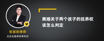 离婚关于两个孩子的抚养权该怎么判定