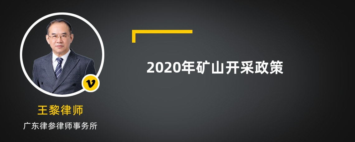 2020年矿山开采政策