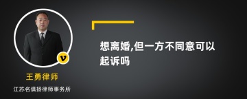 想离婚,但一方不同意可以起诉吗