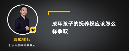 成年孩子的抚养权应该怎么样争取