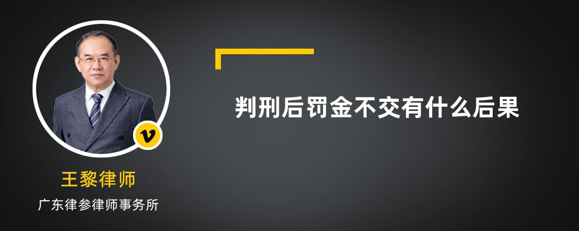 判刑后罚金不交有什么后果