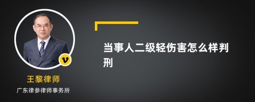 当事人二级轻伤害怎么样判刑