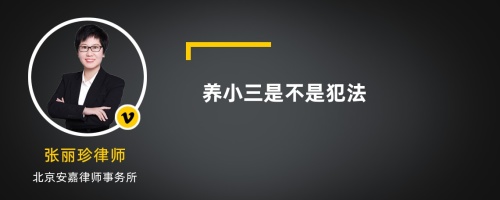 养小三是不是犯法