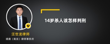 14岁杀人该怎样判刑