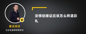 没领结婚证应该怎么样退彩礼